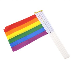 Cờ LGBT Lục Sắc Cầm Tay
