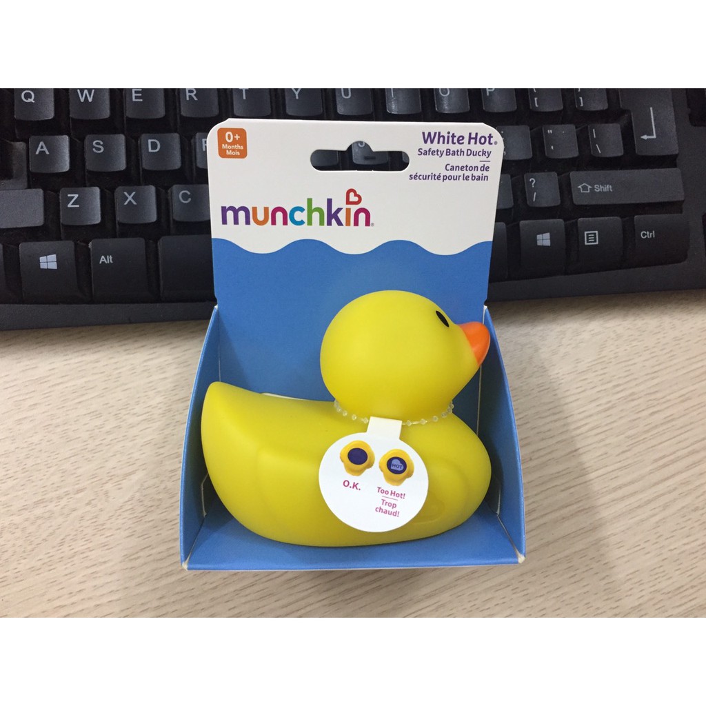 Vịt vàng báo nóng Munchkin