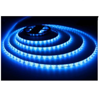 Cuộn Led dây dán 5m 5050 12V