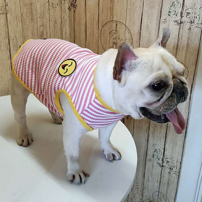 Áo vest dành cho chó Pug và béo đặc biệt đấu pháp, vải cotton mỏng co giãn mùa xuân hè chống bay màu Quần thú