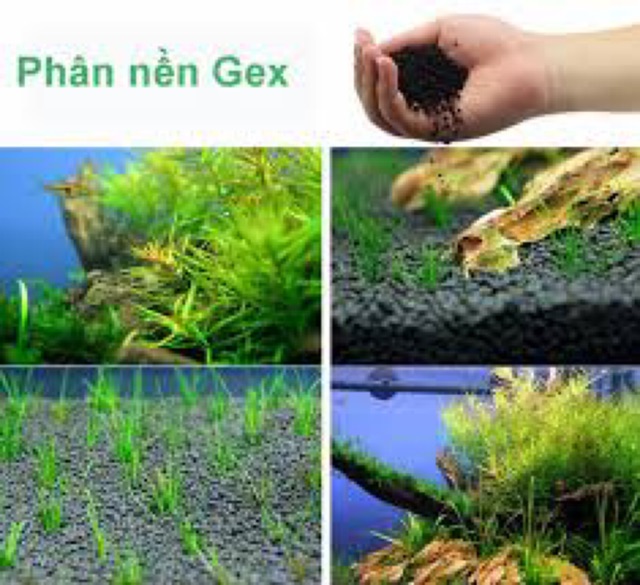 Phân Nền Thủy Sinh GEX XANH | Bao 8Kg