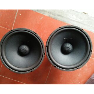 Loa rời Bass 30cm Từ kép 126+100mm (2sp)