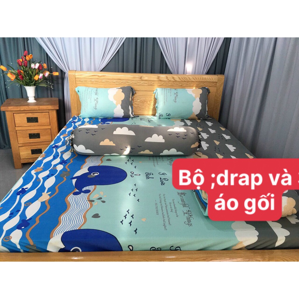 Bộ Drap Thun Hàn Quốc Mát Lạnh { 4 món } inbox CHỌN MÀU