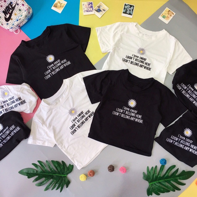 áo croptop ôm 📣FREESHIP Đơn 250K📣 Áo croptop body thêu hoa cúc trắng Hàng Quảng Châu Chất Đẹp | BigBuy360 - bigbuy360.vn