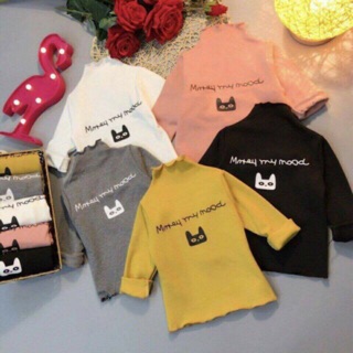 Combo 6 áo cotton len chất đẹp