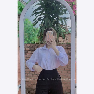 Quần Tây siêu cao . quần tây lưng thun