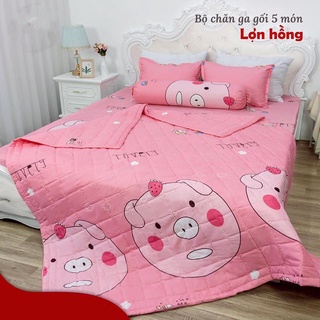 Chăn hè. Chăn thu đông chất liệu cotton poly trần bông. Set gồm 5 món: 1 ga chun, 2 vỏ gối, 1 vỏ gối ôm, 1 chăn hè