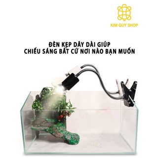 Kẹp đèn E27 + đèn cho thú cưng bò sát, rùa cảnh
