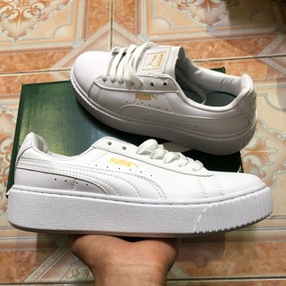 Giày thể thao pppuma full trắng