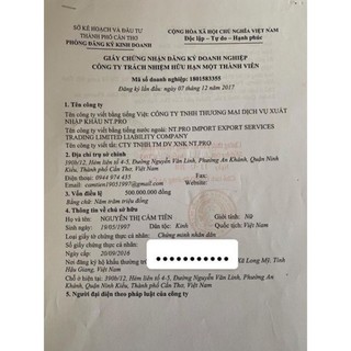 Kích trắng vitamin B10 Tóc Tiên 30gam