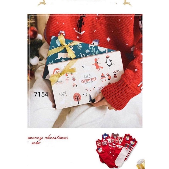 Tất noel free size