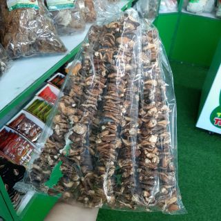 Nấm Hương rừng Bắc Kạn