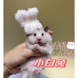 Nón len handmade thỏ xù đáng iu cho hamster, chuột, bọ ú...