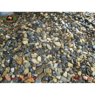 Sỏi suối - sỏi vàng nắng - sỏi trắng - sỏi suối 3 màu - sỏi nâu