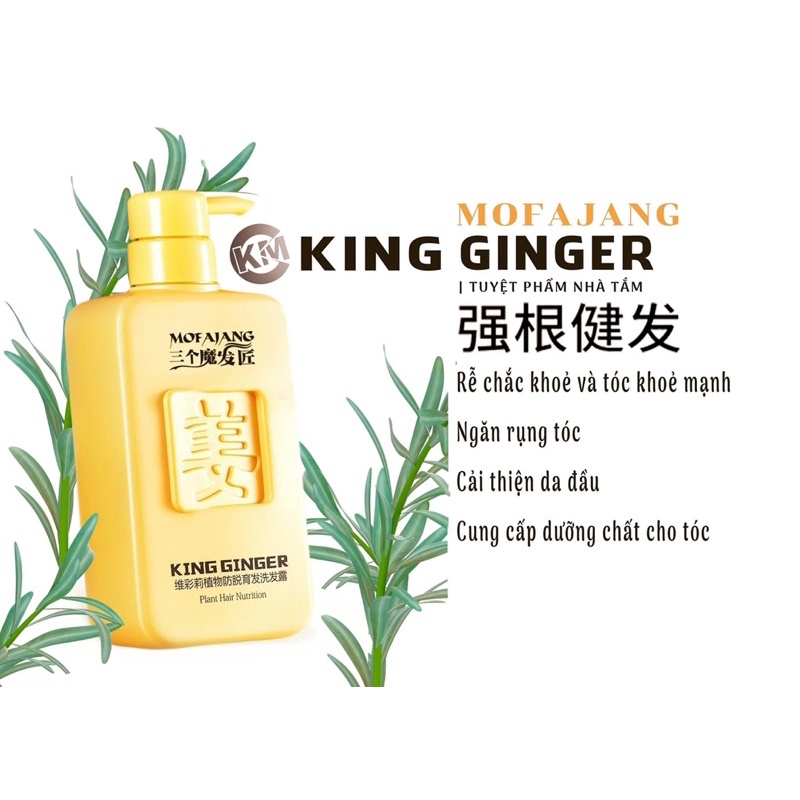 Dầu gội gừng chính hãng 100%