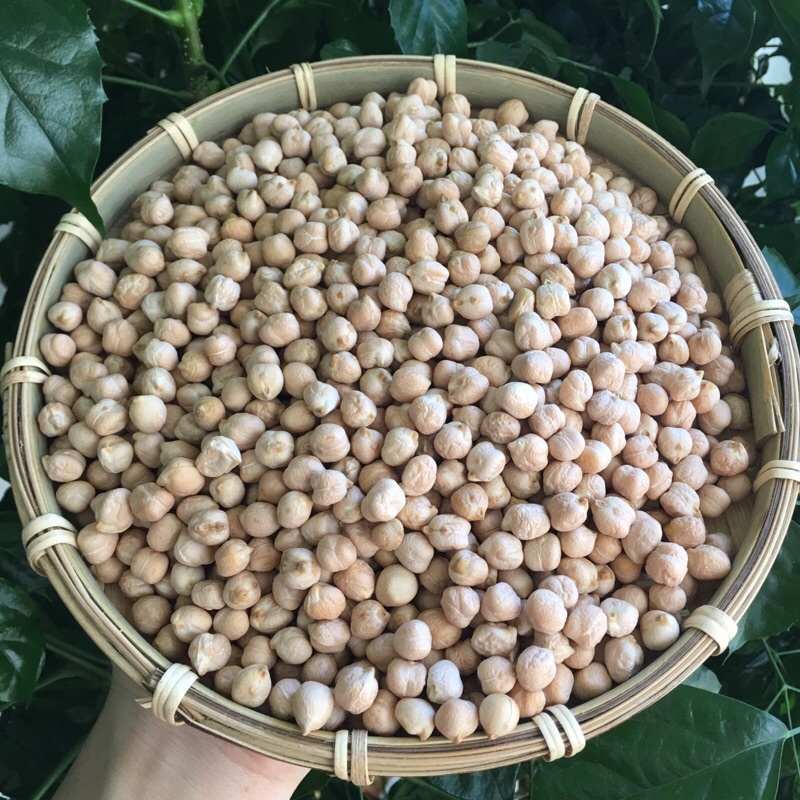 500G Hạt đậu gà nhập khẩu không biến đổi gen