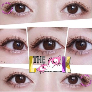 Lens Kính Sát Tròng Series Choco - Socola