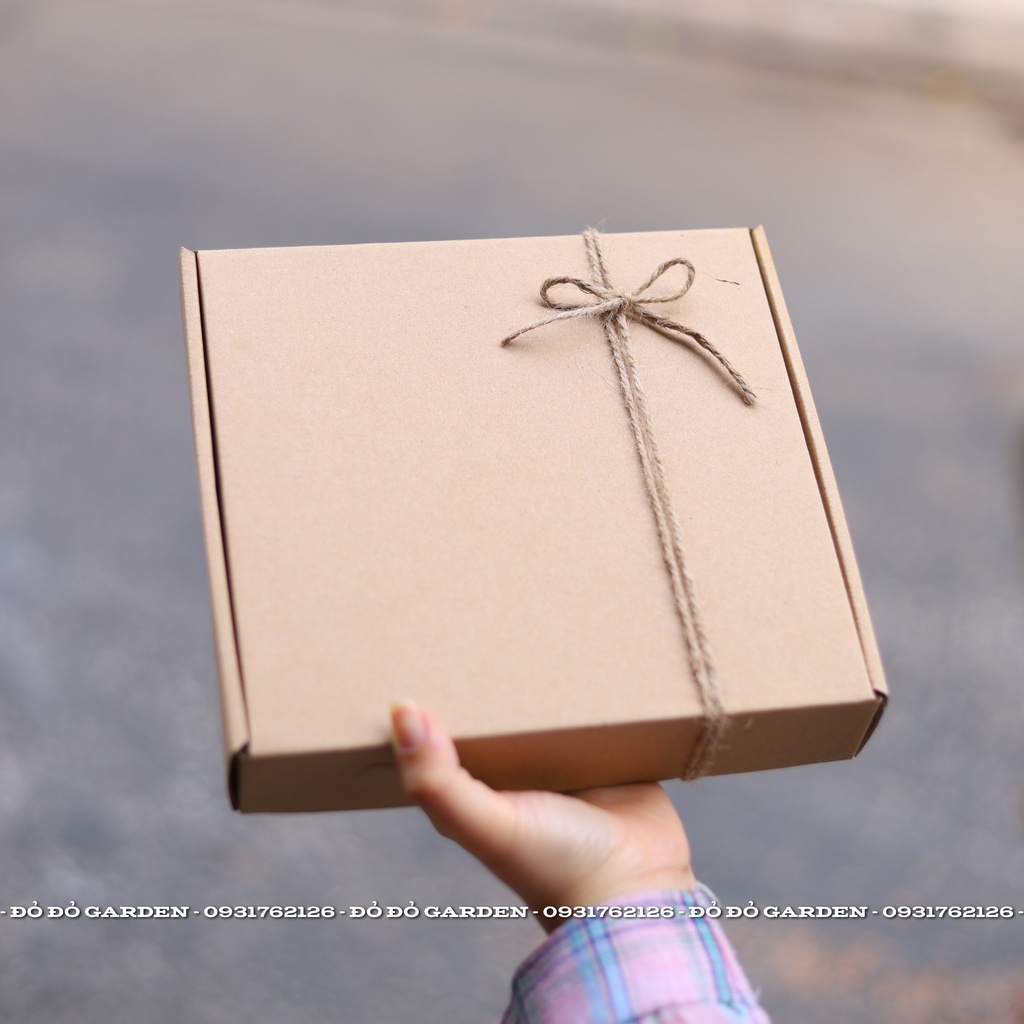 [Giao nhanh 2h] Dâu Giống Hàn Đang Rộ Được Trồng Theo Quy Trình Công Nghệ Cao Tại Đà Lạt _ Hộp giấy | BigBuy360 - bigbuy360.vn