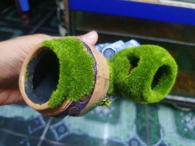 CẢNH LU PHỦ RÊU TRANG TRÍ HỒ CÁ NON BỘ 13X7X10CM