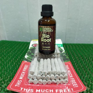 combo kích rễ mỹ : Bio Root và phân que Jobes