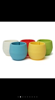 Chậu cây cảnh mini