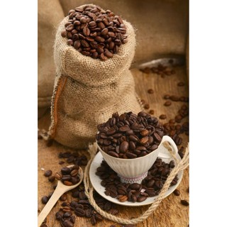 [500g] Cà phê Robusta bột xay sẵn - The Kaffeine Farm