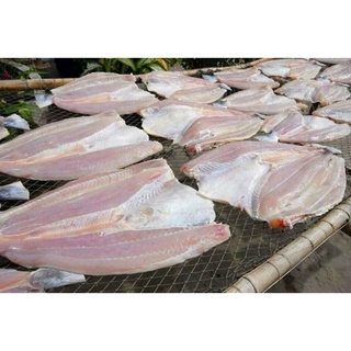 [Hoả tốc HCM] CÁ DỨA 1 NẮNG 1KG