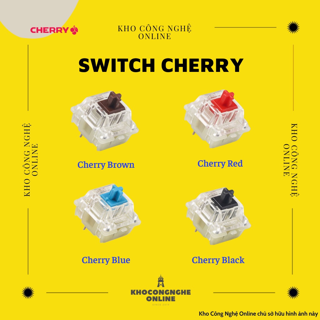 Cherry Switch - Cherry Switch RGB cho bàn phím cơ