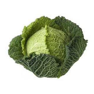 Hạt giống Bắp cải nhăn - 0.5 gr