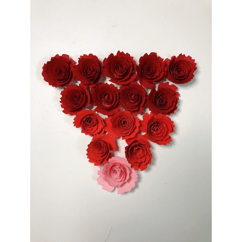 20 cánh hoa giấy cuốn