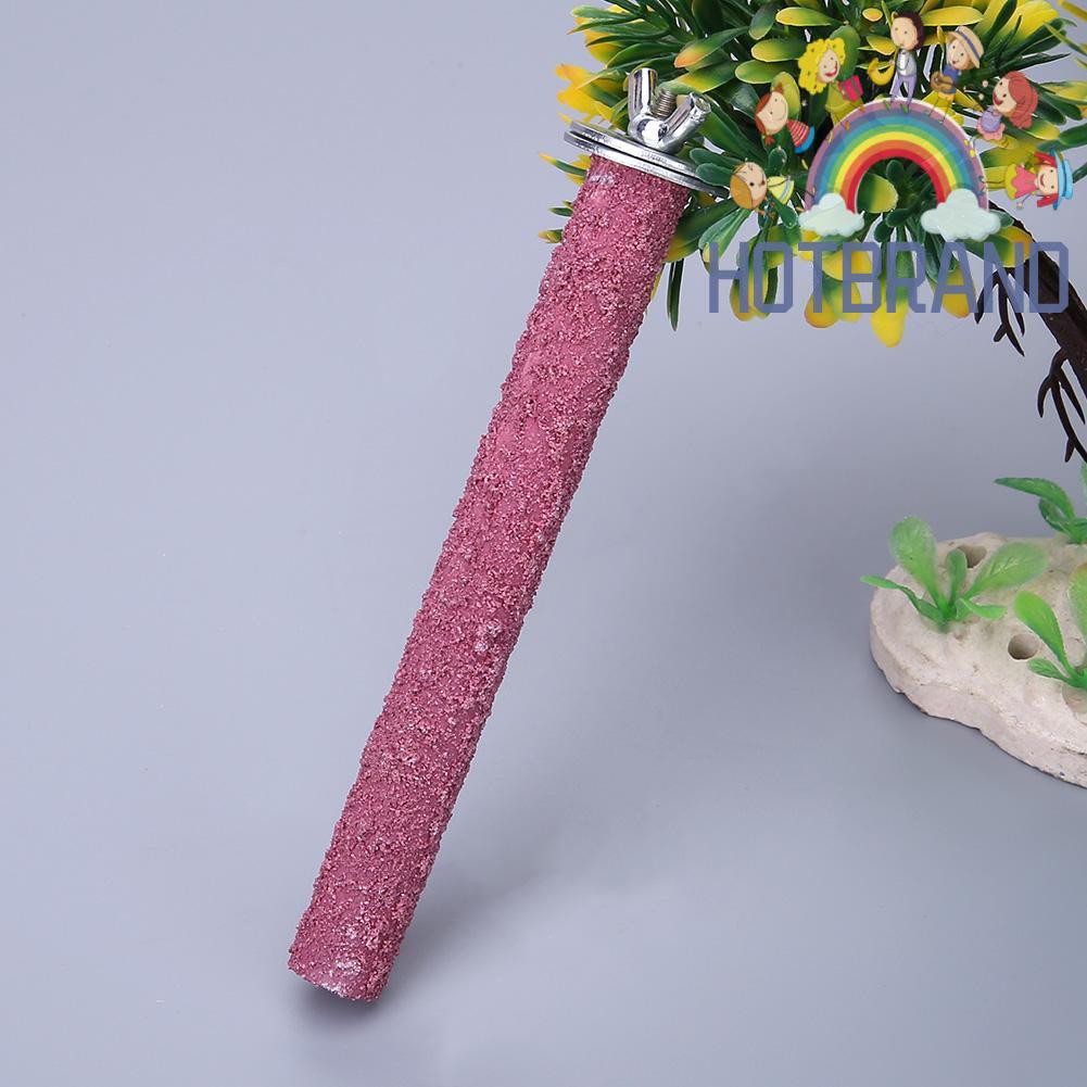 Giá đứng cho chim cảnh/vẹt nhiều màu sắc tùy chọn