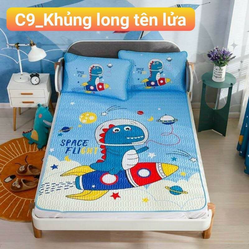 Chiếu Điều Hòa Cao Su Non Hàng Loại 1 Cao Cấp