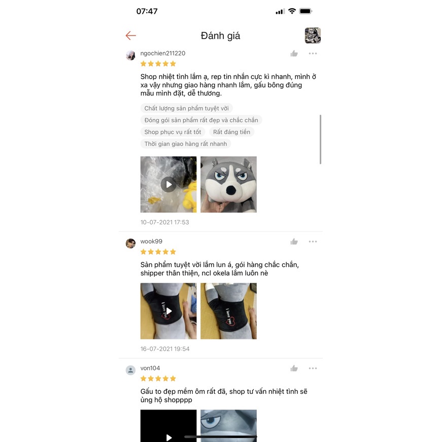 Gấu Bông Chó Husky Size 100Cm Có Áo Hàng Cao Cấp Chất Liệu Vải Nhung Co Dãn 4 Chiều Xuất Dư Siêu Thị