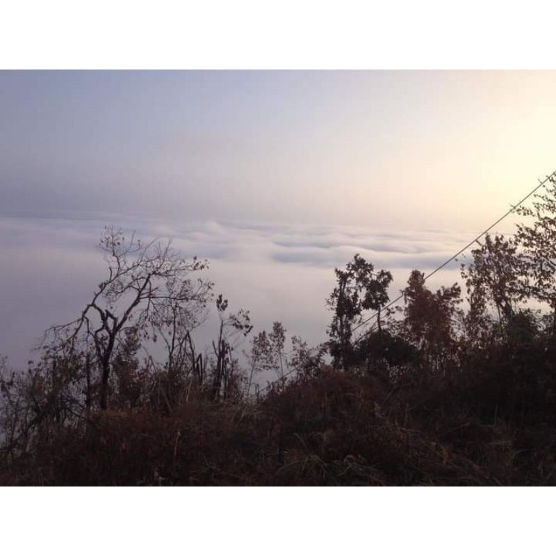 Rẻ  vô địch  - chất lượng  hoàn mỹ  -Lưới bẫy chim 7 pH 50m cu cò cuốc 7phan cao 5m dài 50m siêu nhậy