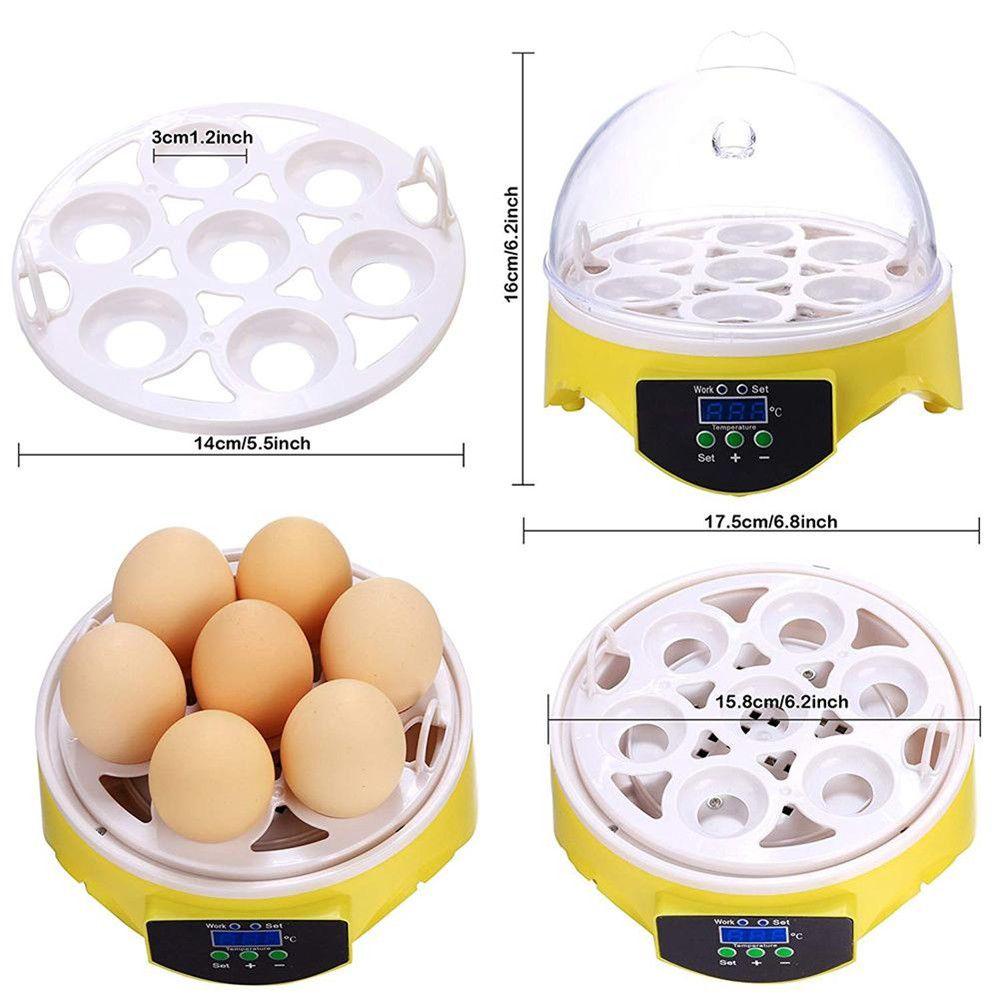 Lồng Ấp Trứng 7 Ngăn Thông Minh Cho Chim Vẹt