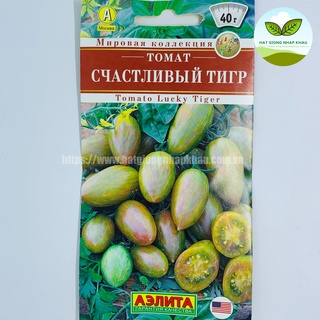 Hạt giống cà chua trái cây tiger. Hàng Nga. 20 hạt/gói
