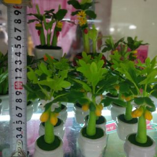 CHẬU CHUỐI , ĐU ĐỦ ĐẤT SÉT