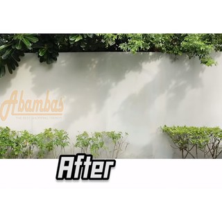 Bột trám trét tường, chống thấm Wall Putty (B219)