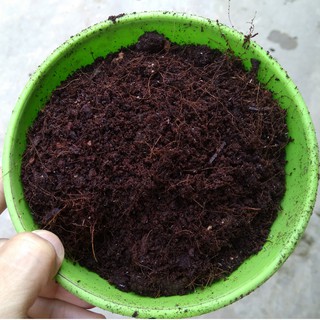 Hỗn hợp đất trồng sen đá - 1 KG