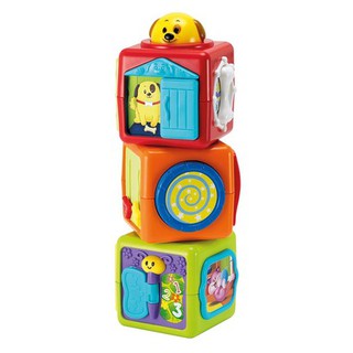 HỘP THÚ CƯNG VUI NHỘN WINFUN