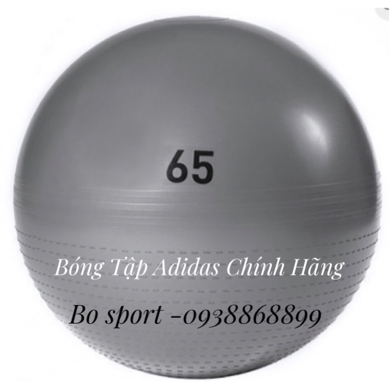 Bóng Tập Yoga ,gym size 65cm