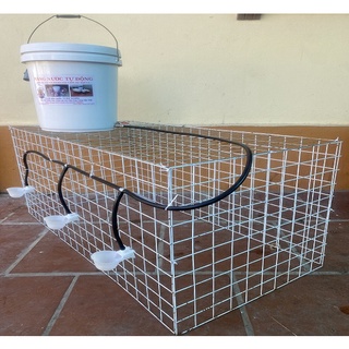Bộ máng uống nước tự động cho chim bồ câu,gà,gia cầm hiệu quả nhất!