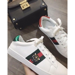 GIÀY GUCCI HỔ