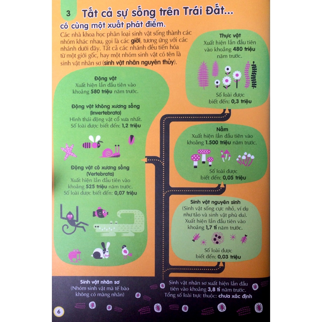 Sách - 100 Bí Ẩn Đáng Kinh Ngạc Về Khoa Học