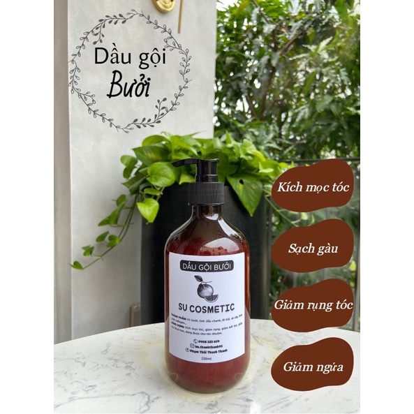 Dầu Gội Bưởi Cô Đặc ‍♀️Dầu Gội Thảo Dược Sạch Gàu, Nấm Ngứa Giúp Kích Mọc Tóc Giảm Tóc Bết .