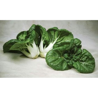 Hạt giống cải shiro
