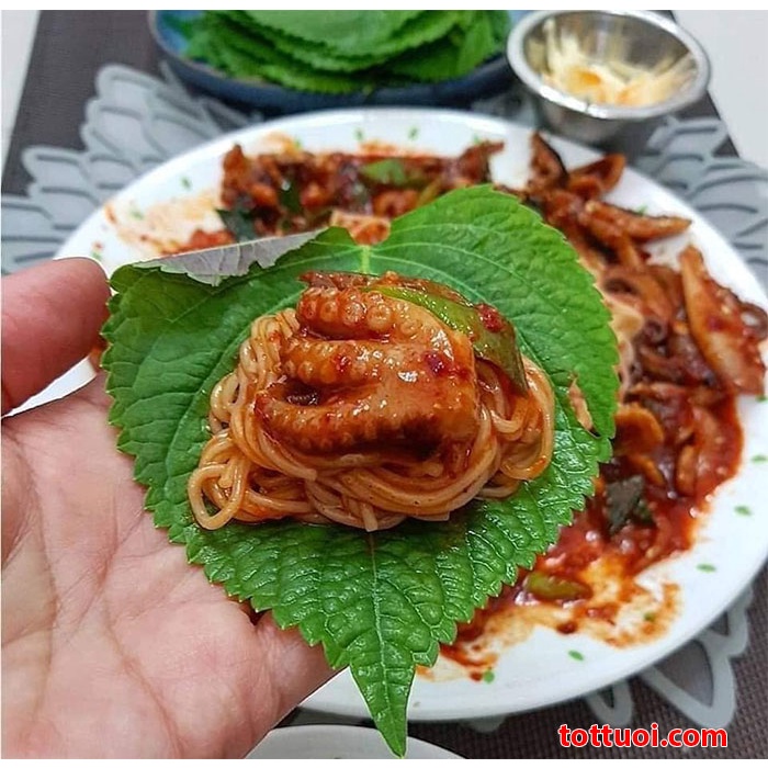 Cây lá mè hàn quốc (Hàng mới )