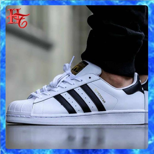 giày thể thao Sneakers mũi Sò tem vàng , Sang Trọng Lịch Lãm