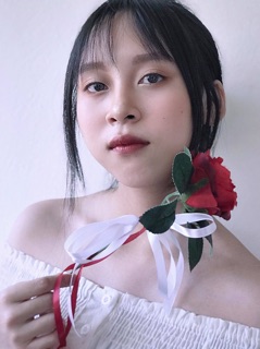 Hoa Hồng Đơn Kèm Nơ