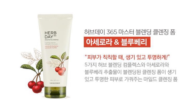 [Mã COS1904 giảm 8% đơn 300K] Sữa rửa mặt The Face Shop Herb Day 365 Cleansing Foam TFS 170ml | BigBuy360 - bigbuy360.vn